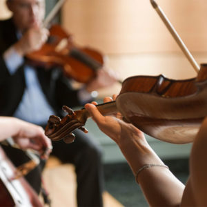 Walden Chamber Players, Concert at the Points